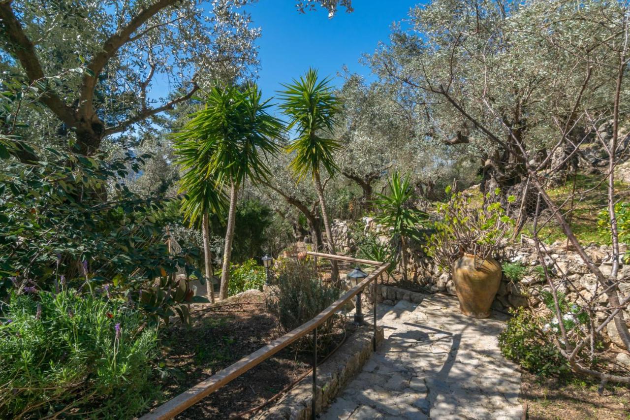 Es Coll Den Pastor Villa Sóller Dış mekan fotoğraf